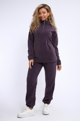 Костюм 060 сливовый